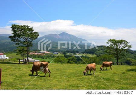 Takachiho Ranch and Takachiho Peak Takachiho Ranch and Takachiho Peak 4838367