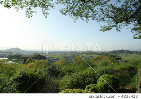 Yamato Miiyama 4838428