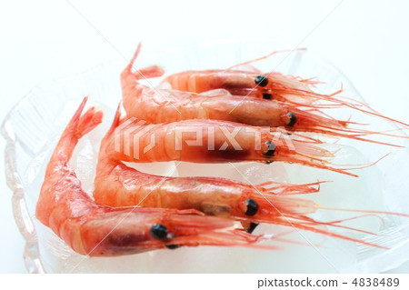 The most prawn on ice 4838489