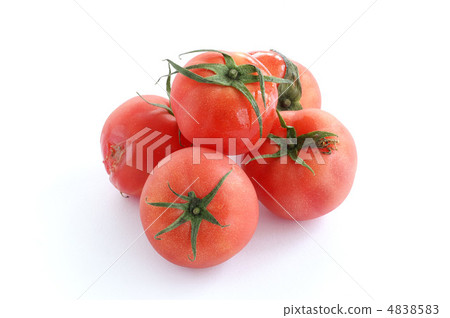 蕃茄 4838583