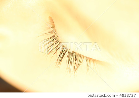 Up of eyelash 4838727