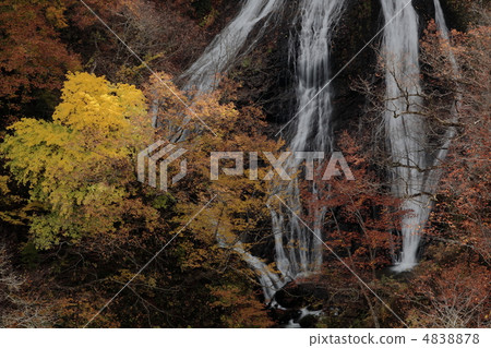 深秋的Nanatsu瀑布 4838878