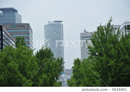 新鮮的綠色在城市 4838901