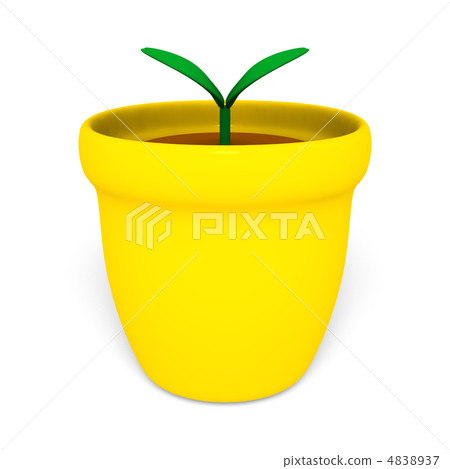 Potted sprouts 4838937