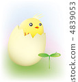Chick	 4839053