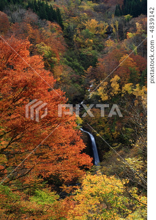 Autumnal fall fall waterfall Autumnal fall fall waterfall 4839142