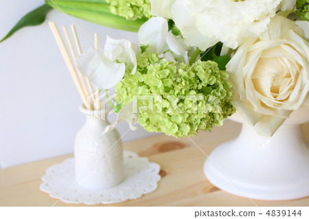 Annabel和Aroma擴散器 Annabel和Aroma擴散器 4839144