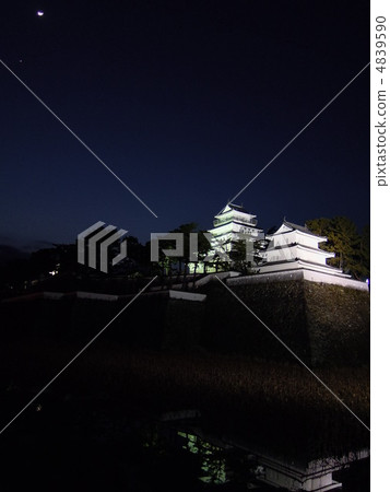 在月光下的夜晚的島原城堡 4839590