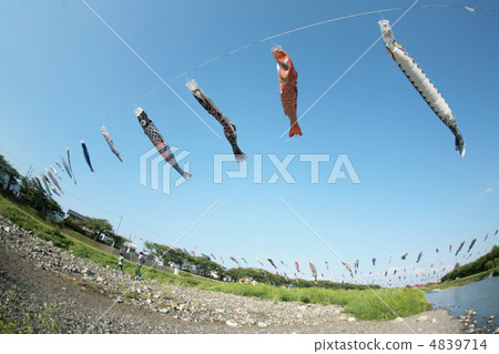 Carp streamer Carp streamer 4839714