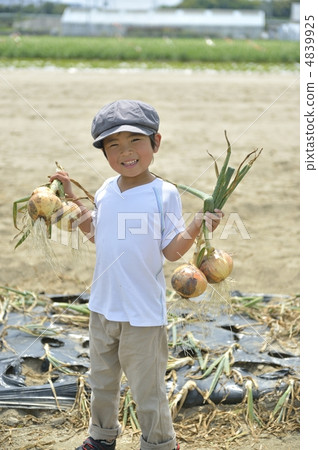 食品教育 4839925