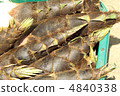 Freshly digested bamboo shoots 4840338