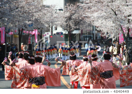 Sakura who does not wither Sakura who does not wither 4840449