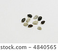 Cotton seeds 4840565