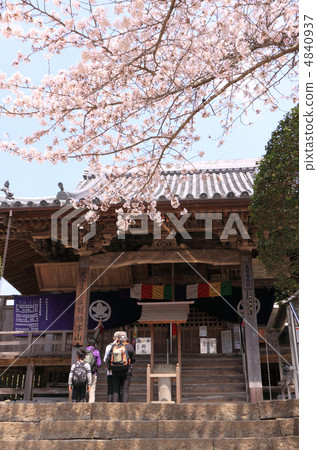 四國佛4日生日“大日寺”盛開的櫻花和朝聖者先生 四國佛4日生日“大日寺”盛開的櫻花和朝聖者先生 4840937