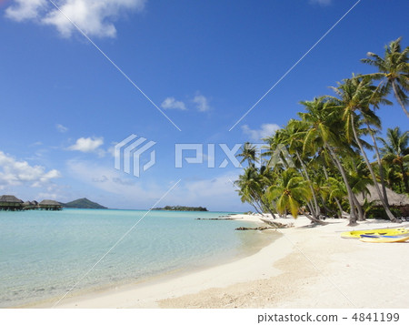 波拉波拉島上的海灘 4841199