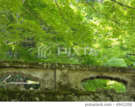 Fresh green and stone bridge Fresh green and stone bridge 4841208