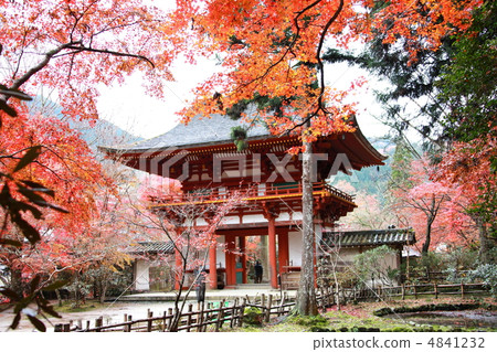 Muroji Temple Muroji Temple 4841232