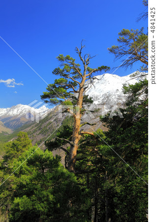 Beautiful view of mountains in the Elbrus area. Beautiful view of mountains in the Elbrus area. 4841425