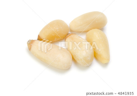 松子 松子 4841935