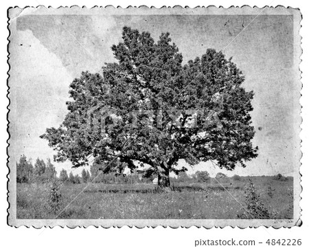 grunge background 4842226