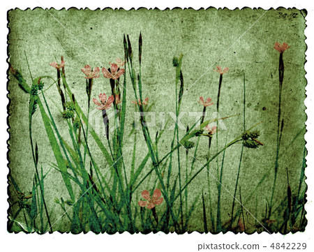 grunge background 4842229