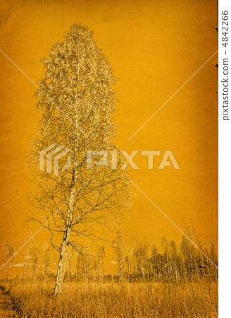 grunge background grunge background 4842266