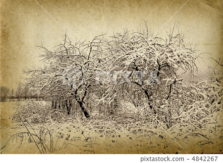 grunge background grunge background 4842267