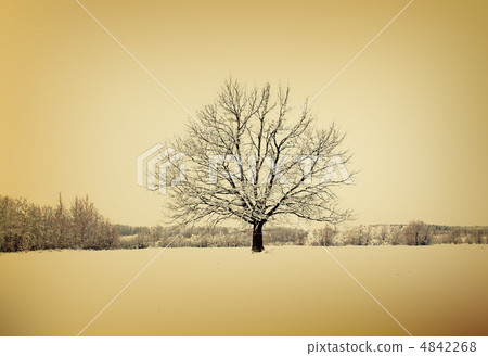 grunge background grunge background 4842268