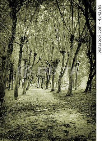 grunge background grunge background 4842269
