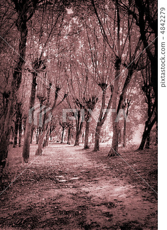 grunge background grunge background 4842279