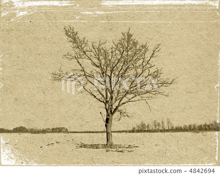 grunge background grunge background 4842694