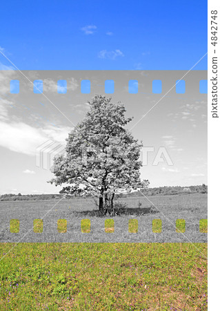 grunge background grunge background 4842748