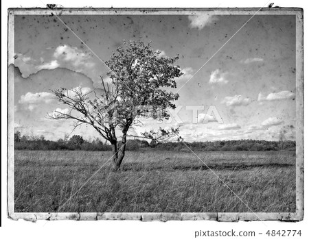 grunge background grunge background 4842774