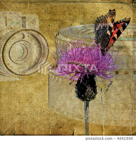 grunge background grunge background 4842898
