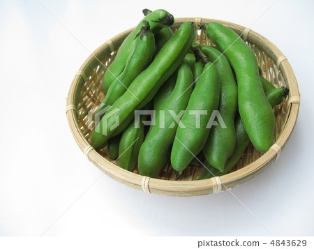很多豆子 很多豆子 4843629