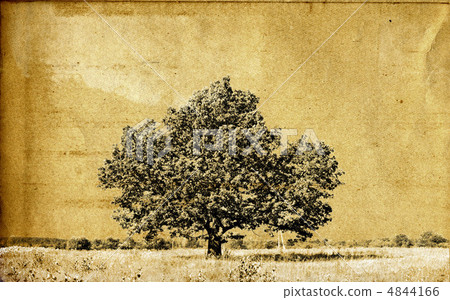 grunge background grunge background 4844166