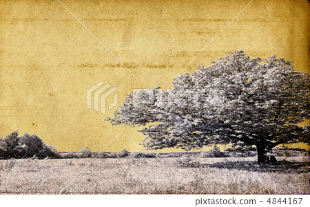 grunge background grunge background 4844167