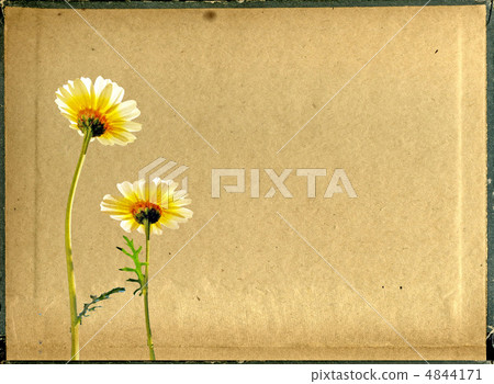 grunge background grunge background 4844171