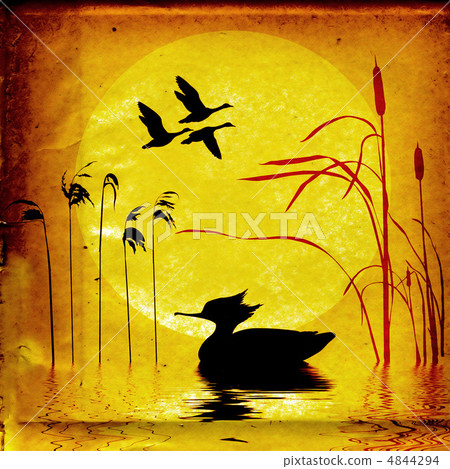 grunge background 4844294