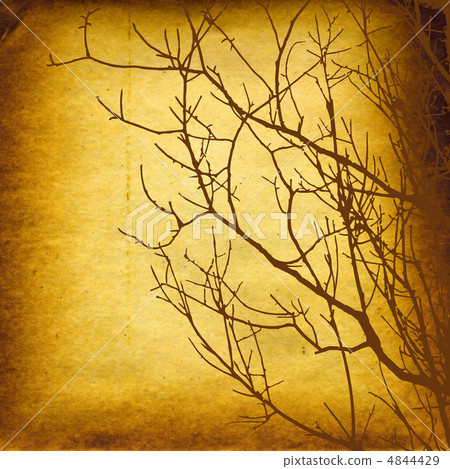 grunge background grunge background 4844429