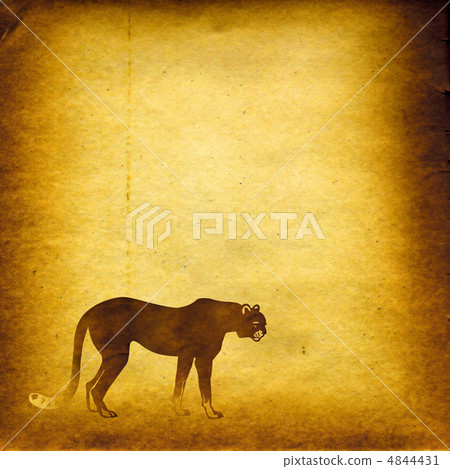 grunge background grunge background 4844431