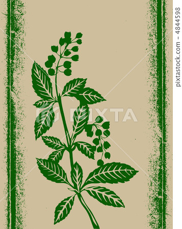 green plant on grunge background, vector illustration green plant on grunge background, vector illustration 4844598