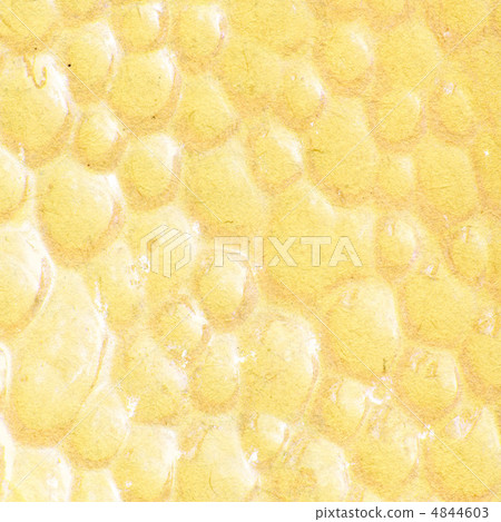 4844603