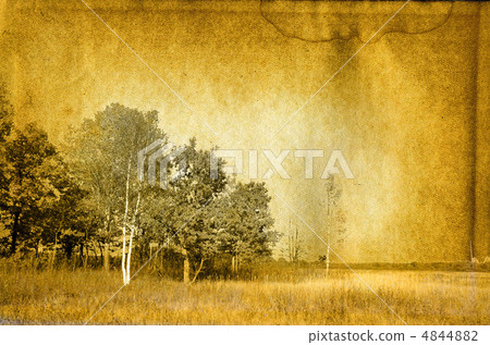 grunge background 4844882