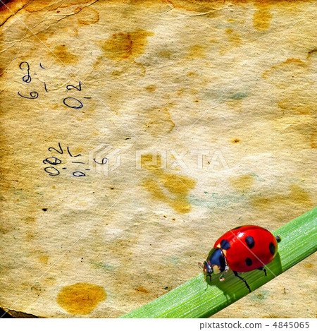 grunge background grunge background 4845065