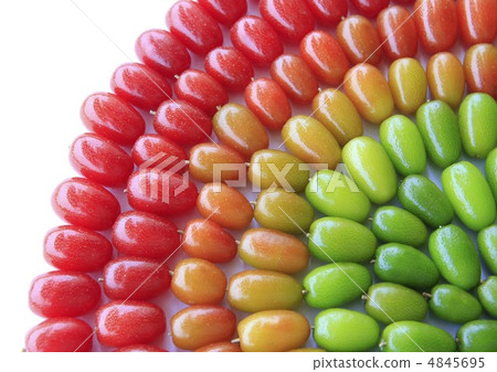 Gummy Gummy 4845695