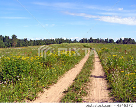 RURAL ROAD ON FIELD RURAL ROAD ON FIELD 4846372