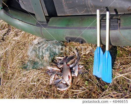 fish on herb near boats fish on herb near boats 4846655