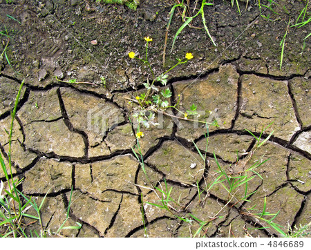 dry land with rift 4846689