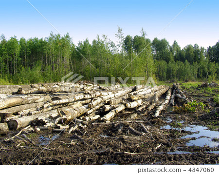 chopping wood chopping wood 4847060